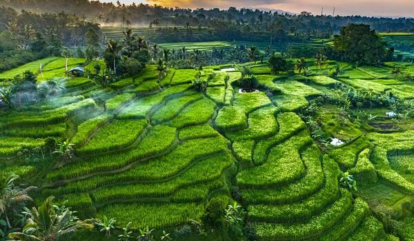  Bali - Wakacje pod palmami - wylot z Warszawy