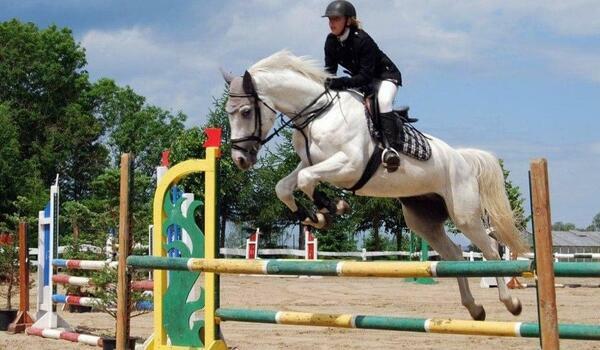  Czaplinek - obóz jazdy konnej