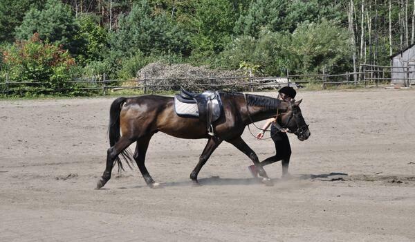  Janów Lubelski - obóz konny