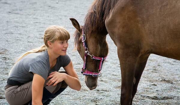  Międzyrzec Podlaski - jazda konna - namioty